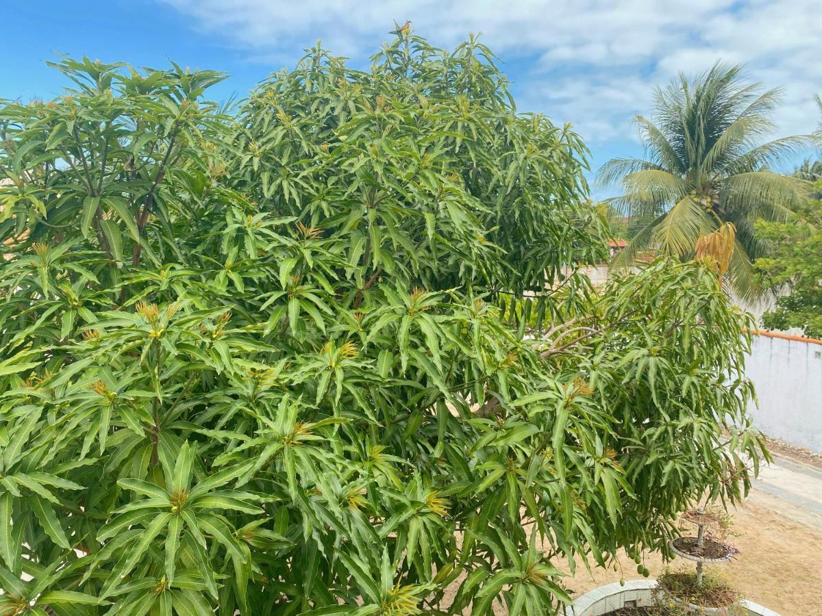 Sol, Mar E Privacidade Villa Aracaju Bagian luar foto